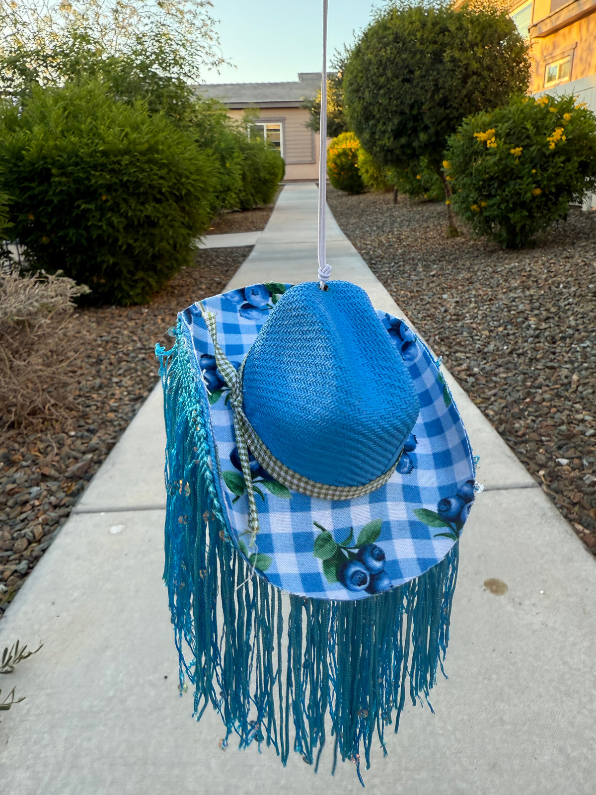 Blueberry gingham fringe hat rearview mirror charm