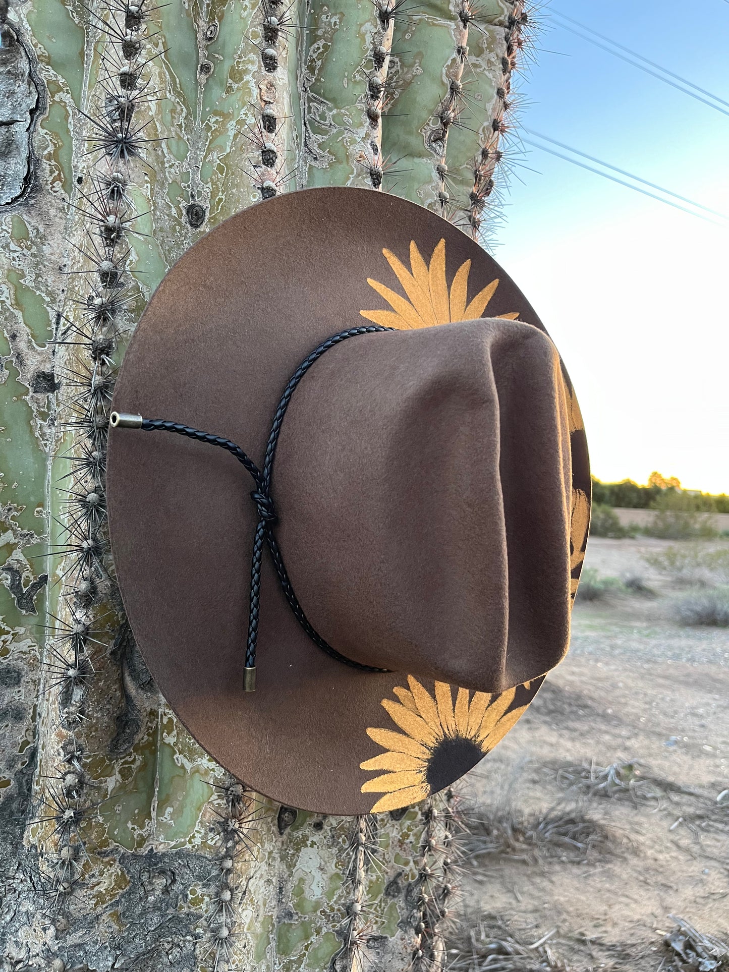 Western sunflower hat brown felt wide brim rancher hat
