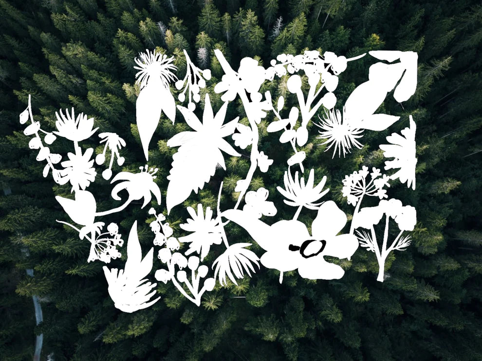 Washington state floral vinyl transfer decal