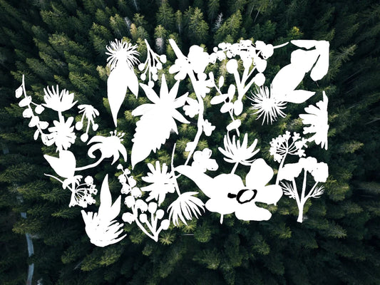 Washington state floral vinyl transfer decal