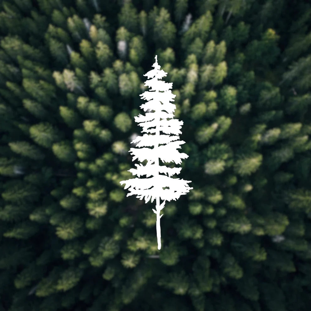 Pine tree vinyl transfer decal