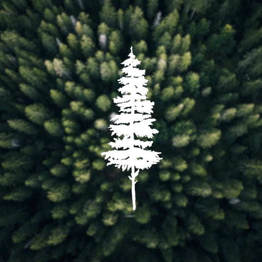 Pine tree vinyl transfer decal
