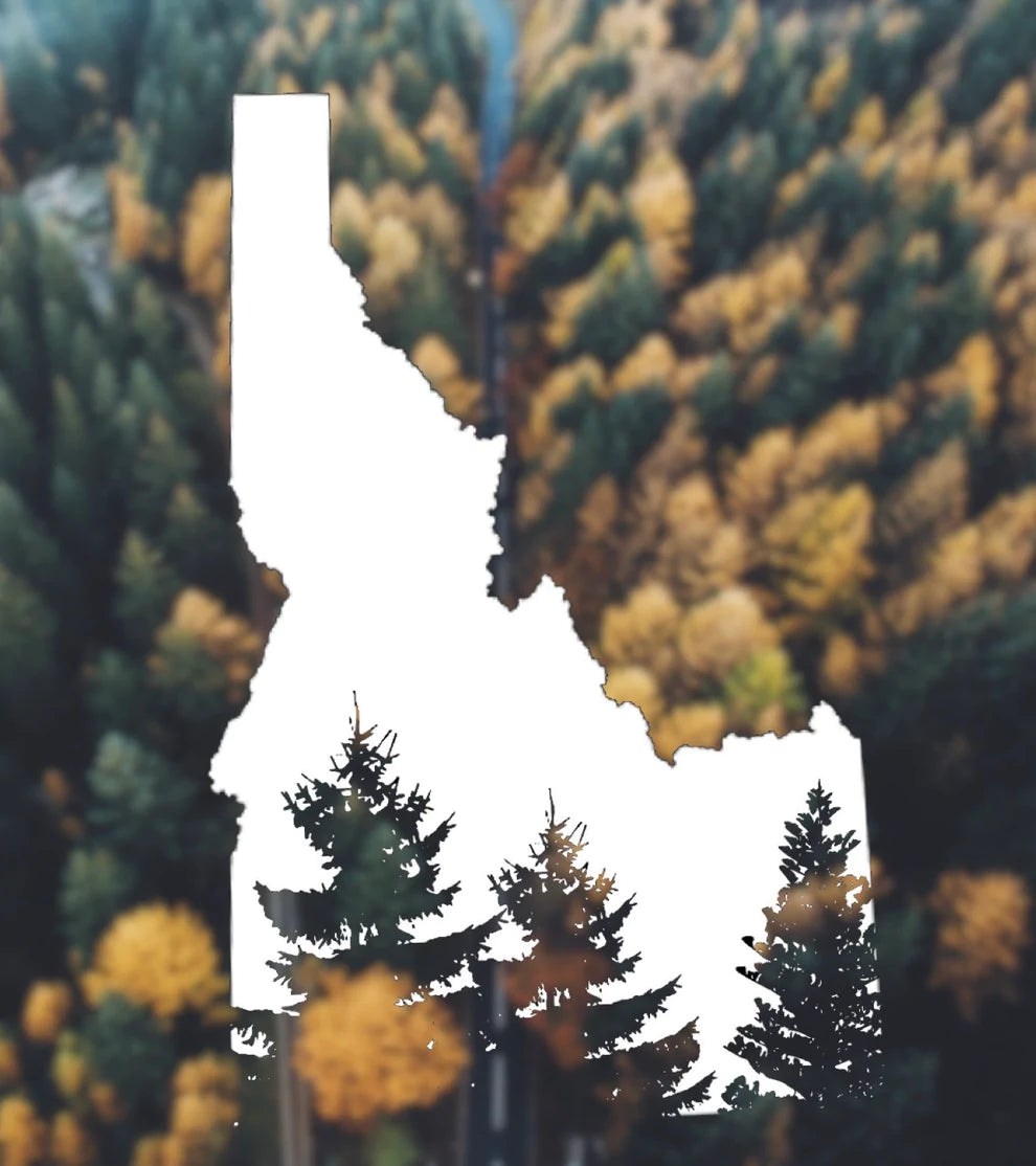 Idaho state tree vinyl transfer decal