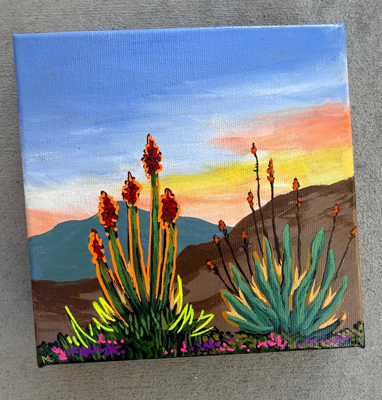 Ocotillo blossoms canvas original painting