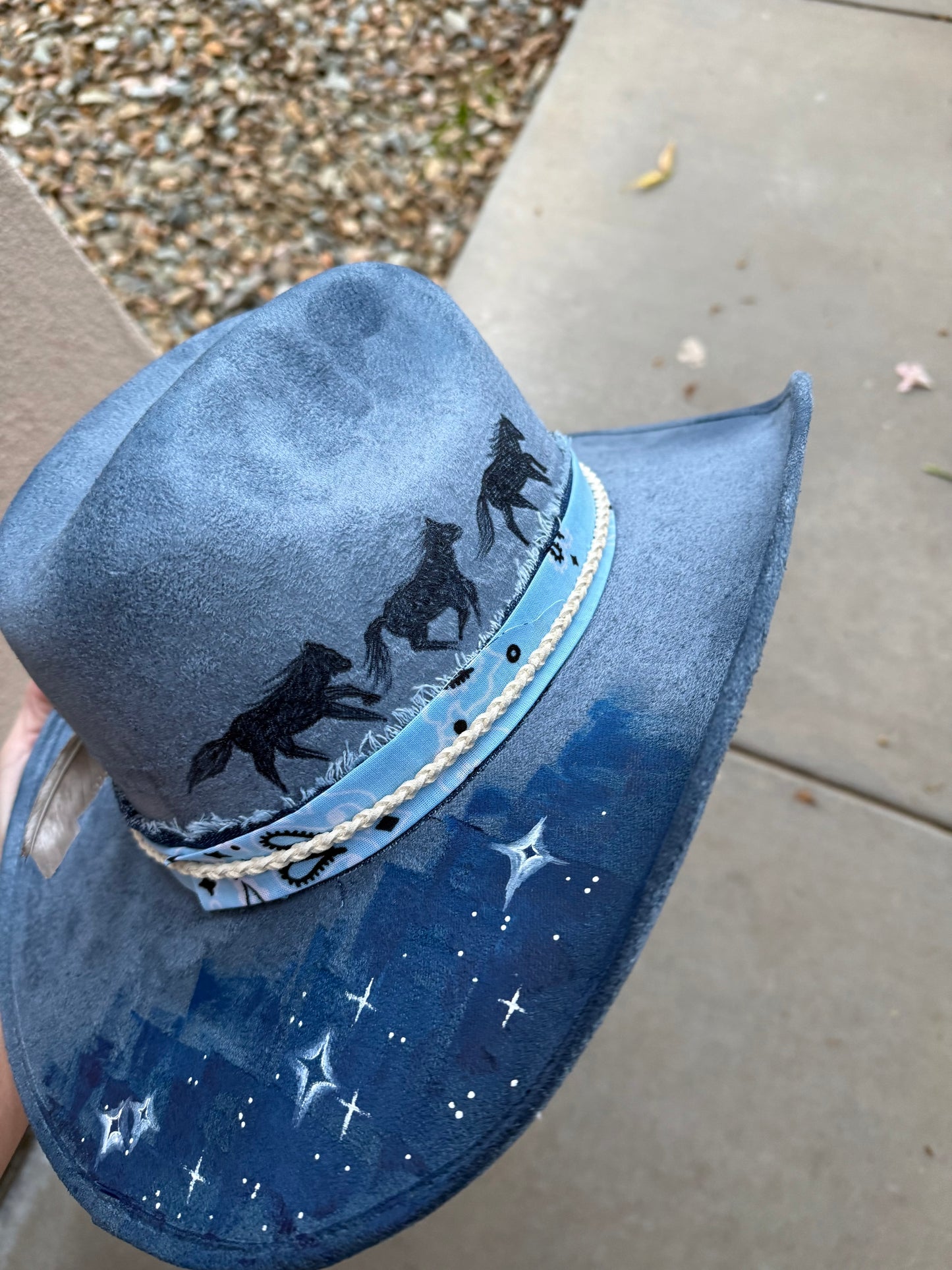 Blue hold yer horses suede wide brim rancher hat