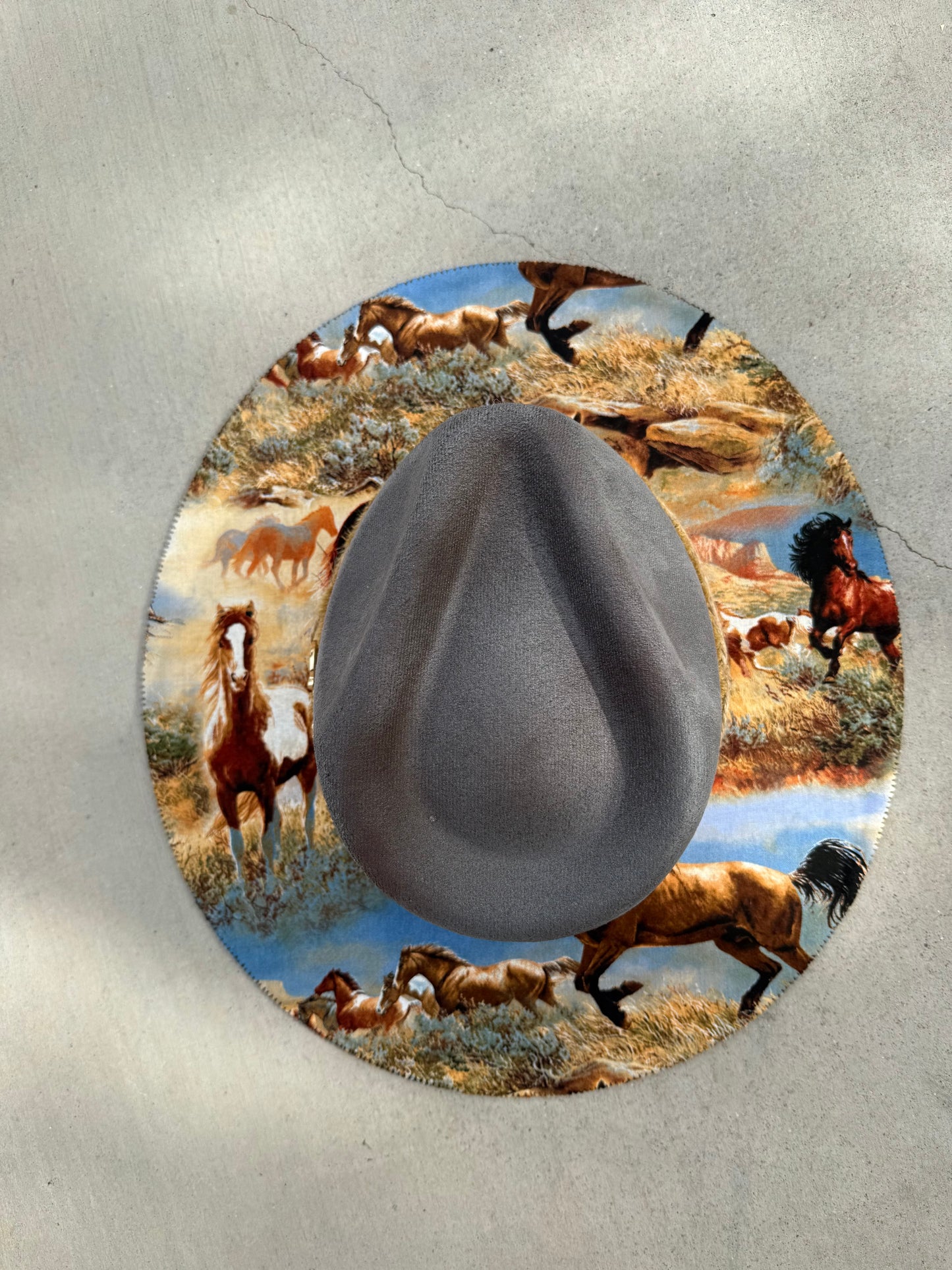 Wild horses gray suede wide brim rancher hat