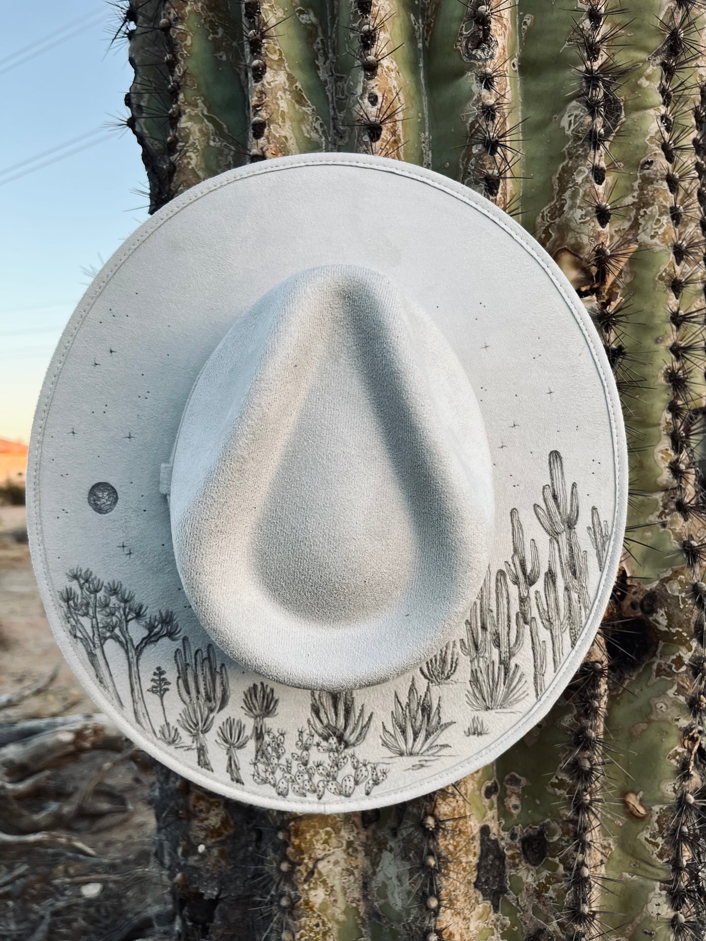 Cactus desert plants grey suede wide brim rancher hat
