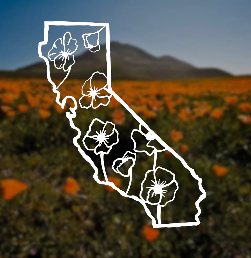 California poppies vinyl transfer decal
